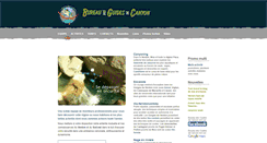 Desktop Screenshot of procanyon.com